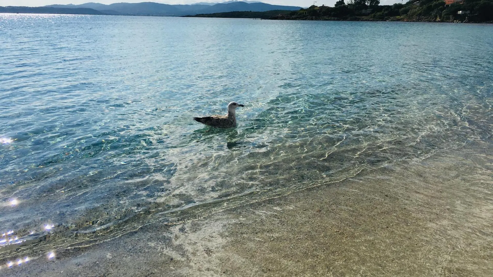 Beach House Ilaria- Smeraldo Apt Olbia Italien